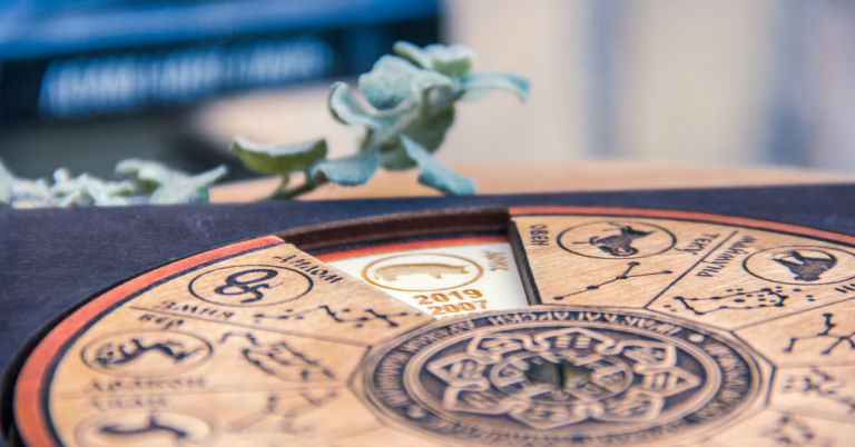 Best Astrologer: Guiding Light for Life’s Decisions